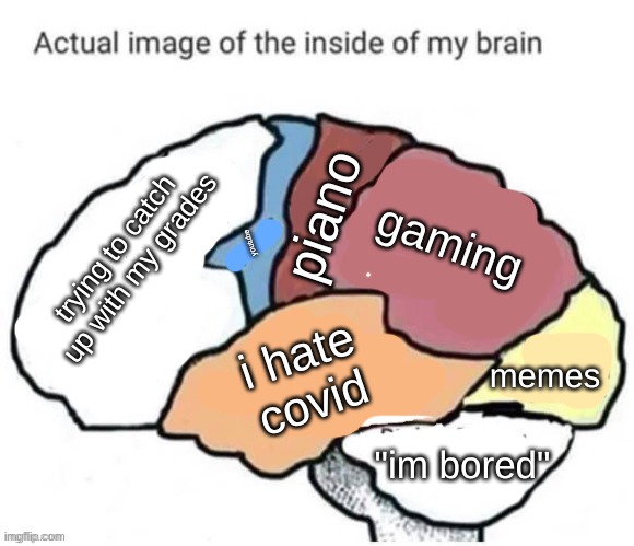 lol this is true | gaming; piano; trying to catch up with my grades; youtube; i hate covid; memes; "im bored" | image tagged in actual image of the inside of my brain,memes,funny,relatable | made w/ Imgflip meme maker
