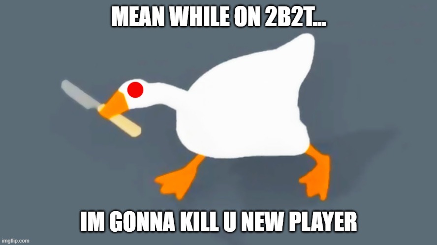 Goose with knife | MEAN WHILE ON 2B2T... IM GONNA KILL U NEW PLAYER | image tagged in goose with knife | made w/ Imgflip meme maker