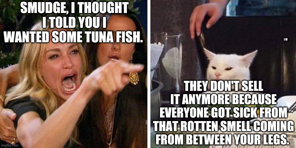 Smudge the cat | SMUDGE, I THOUGHT I TOLD YOU I WANTED SOME TUNA FISH. J M; THEY DON'T SELL IT ANYMORE BECAUSE EVERYONE GOT SICK FROM THAT ROTTEN SMELL COMING FROM BETWEEN YOUR LEGS. | image tagged in smudge the cat | made w/ Imgflip meme maker