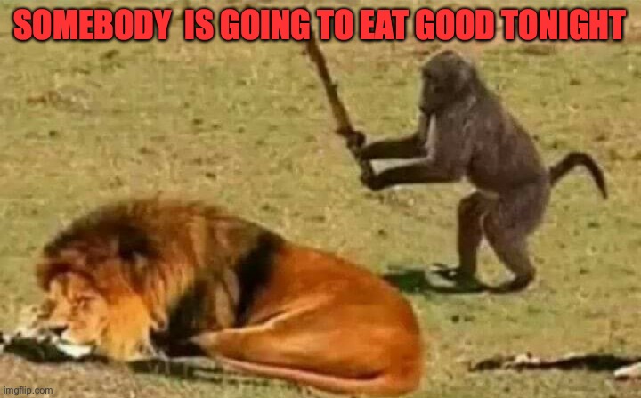 Bad idea | SOMEBODY  IS GOING TO EAT GOOD TONIGHT | image tagged in bad idea | made w/ Imgflip meme maker