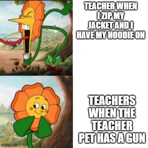 Sunflower | TEACHER WHEN I ZIP MY JACKET AND I HAVE MY HOODIE ON; TEACHERS WHEN THE TEACHER PET HAS A GUN | image tagged in sunflower | made w/ Imgflip meme maker