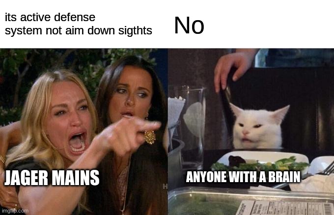 Woman Yelling At Cat Meme | its active defense system not aim down sigthts; No; JAGER MAINS; ANYONE WITH A BRAIN | image tagged in memes,woman yelling at cat | made w/ Imgflip meme maker