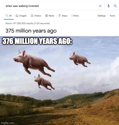 i will become a billionaire when pigs fly....again | 376 MILLION YEARS AGO: | image tagged in pigs fly,inventions,memes,funny | made w/ Imgflip meme maker