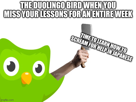 UH... A LITTLE HELP?! | THE DUOLINGO BIRD WHEN YOU MISS YOUR LESSONS FOR AN ENTIRE WEEK; TIME TO LEARN HOW TO SCREAM FOR HELP IN JAPANESE | image tagged in duolingo | made w/ Imgflip meme maker