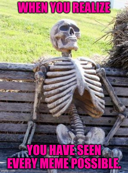 not enough memes in the world | WHEN YOU REALIZE; YOU HAVE SEEN EVERY MEME POSSIBLE. | image tagged in memes,waiting skeleton | made w/ Imgflip meme maker