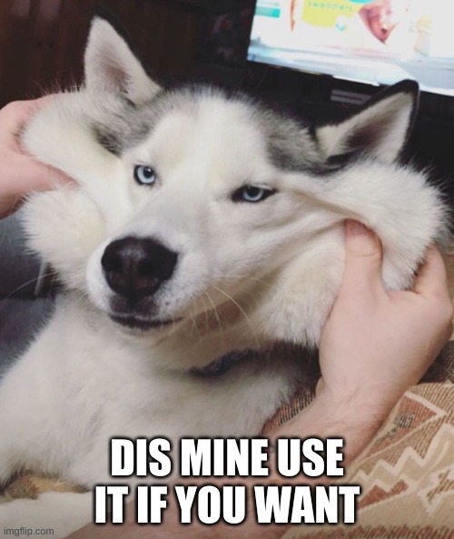 Unsatisfied Doggo |  DIS MINE USE IT IF YOU WANT | image tagged in unsatisfied doggo | made w/ Imgflip meme maker