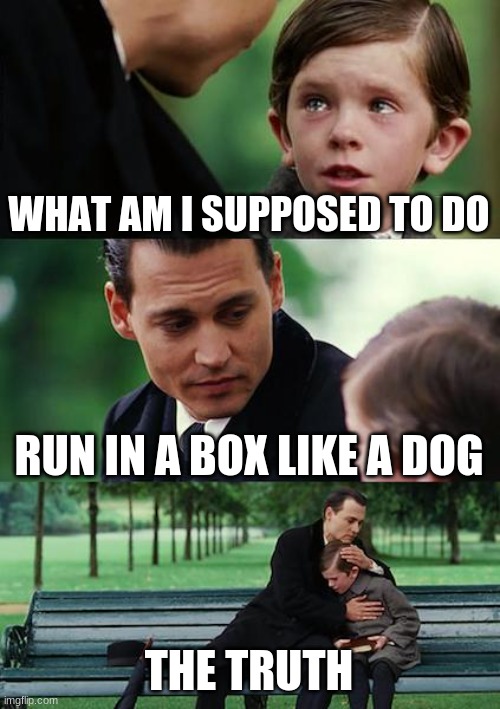 Finding Neverland | WHAT AM I SUPPOSED TO DO; RUN IN A BOX LIKE A DOG; THE TRUTH | image tagged in memes,finding neverland | made w/ Imgflip meme maker