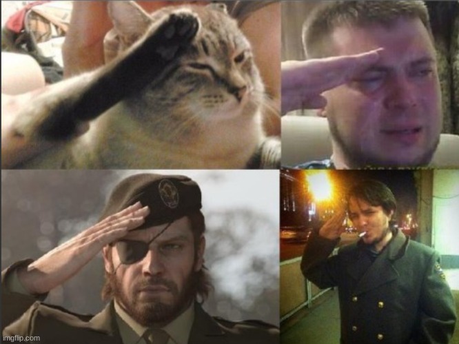 Soldier Salute | image tagged in soldier salute | made w/ Imgflip meme maker