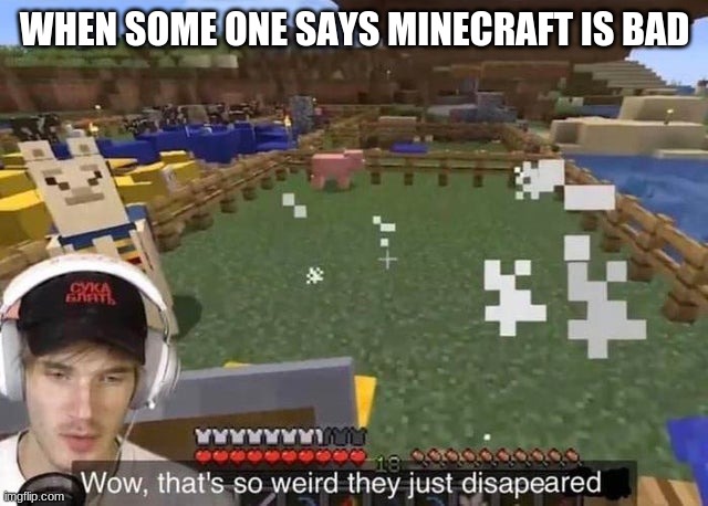 where did they go? | WHEN SOME ONE SAYS MINECRAFT IS BAD | image tagged in they just disappeared | made w/ Imgflip meme maker