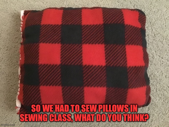 *coughs* *puts head on pillow* | SO WE HAD TO SEW PILLOWS IN SEWING CLASS, WHAT DO YOU THINK? | image tagged in mhm,sewing,lol,ok,pilllow | made w/ Imgflip meme maker
