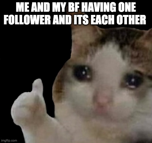 Just me my BF and I | ME AND MY BF HAVING ONE FOLLOWER AND ITS EACH OTHER | image tagged in sad cat,truth,tears | made w/ Imgflip meme maker