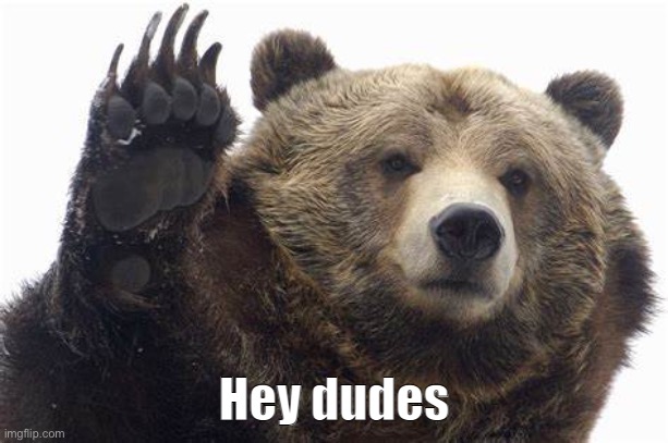 Bear Hey dudes | image tagged in bear hey dudes | made w/ Imgflip meme maker