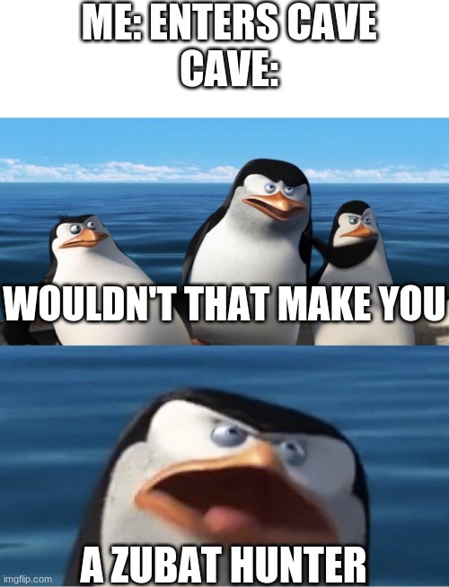 Wouldn't that make you | ME: ENTERS CAVE
CAVE:; WOULDN'T THAT MAKE YOU; A ZUBAT HUNTER | image tagged in wouldn't that make you | made w/ Imgflip meme maker