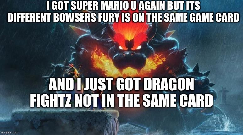 kjivuñovvvvvvvvvvvvvvvvvvvvvvvvvvvvvvvvvvvvvvvvvvvv | I GOT SUPER MARIO U AGAIN BUT ITS DIFFERENT BOWSERS FURY IS ON THE SAME GAME CARD; AND I JUST GOT DRAGON FIGHTZ NOT IN THE SAME CARD | image tagged in bowser's fury | made w/ Imgflip meme maker