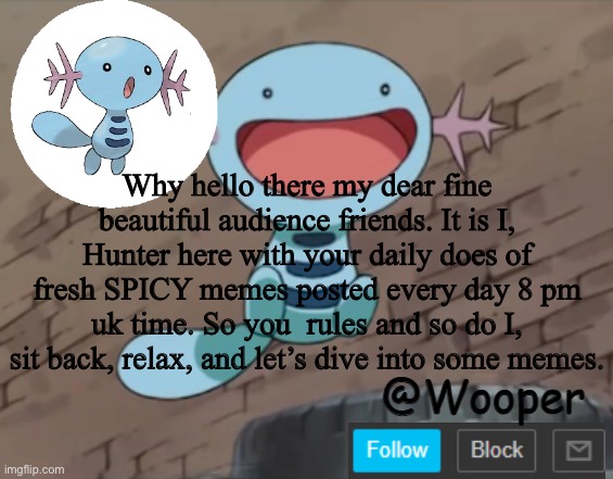 e | Why hello there my dear fine beautiful audience friends. It is I, Hunter here with your daily does of fresh SPICY memes posted every day 8 pm uk time. So you  rules and so do I, sit back, relax, and let’s dive into some memes. | image tagged in wooper template | made w/ Imgflip meme maker