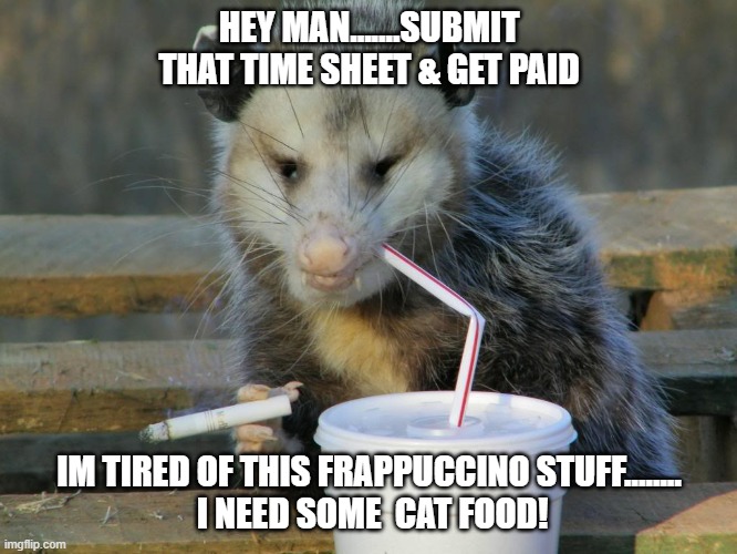 possum | HEY MAN.......SUBMIT THAT TIME SHEET & GET PAID; IM TIRED OF THIS FRAPPUCCINO STUFF........
 I NEED SOME  CAT FOOD! | image tagged in possum | made w/ Imgflip meme maker