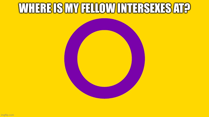 WHERE IS MY FELLOW INTERSEXES AT? | image tagged in lgbt,intersex | made w/ Imgflip meme maker