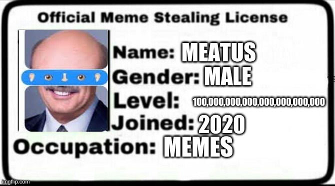 Meme Stealing License | MEATUS; MALE; 100,000,000,000,000,000,000,000; 2020; MEMES | image tagged in meme stealing license | made w/ Imgflip meme maker