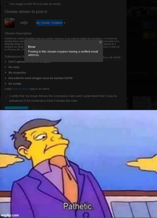 why???? | image tagged in why,mods,why_ | made w/ Imgflip meme maker
