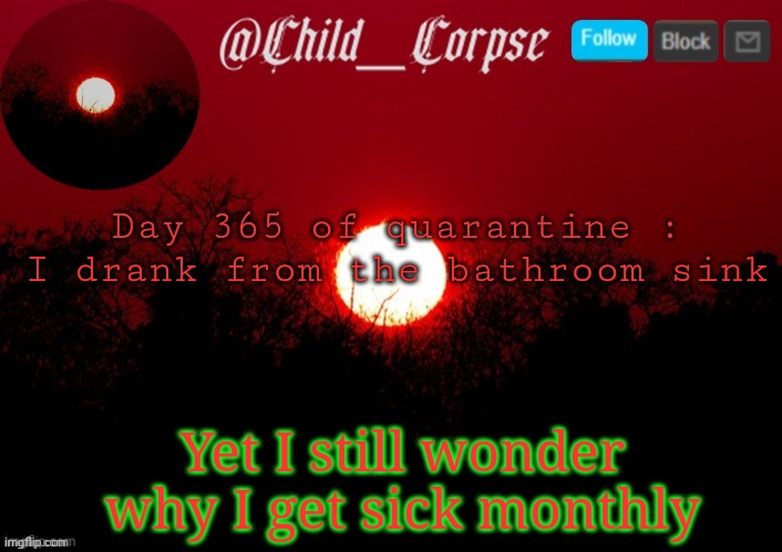 T | Day 365 of quarantine : I drank from the bathroom sink; Yet I still wonder why I get sick monthly | image tagged in t | made w/ Imgflip meme maker