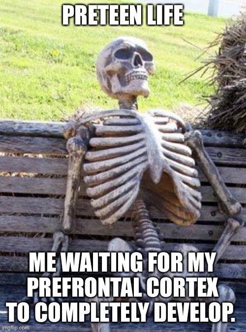 Waiting Skeleton Meme | PRETEEN LIFE; ME WAITING FOR MY PREFRONTAL CORTEX TO COMPLETELY DEVELOP. | image tagged in memes,waiting skeleton | made w/ Imgflip meme maker