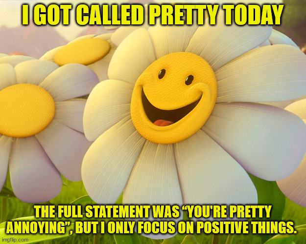 Pretty | I GOT CALLED PRETTY TODAY; THE FULL STATEMENT WAS “YOU'RE PRETTY ANNOYING”, BUT I ONLY FOCUS ON POSITIVE THINGS. | image tagged in smiley flower | made w/ Imgflip meme maker
