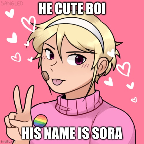 SORA | HE CUTE BOI; HIS NAME IS SORA | image tagged in roleplaying,cute boy | made w/ Imgflip meme maker
