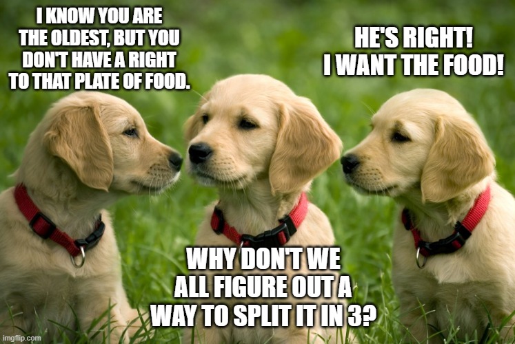 Who gets the food? | I KNOW YOU ARE THE OLDEST, BUT YOU DON'T HAVE A RIGHT TO THAT PLATE OF FOOD. HE'S RIGHT! I WANT THE FOOD! WHY DON'T WE ALL FIGURE OUT A WAY TO SPLIT IT IN 3? | image tagged in dogs,food | made w/ Imgflip meme maker