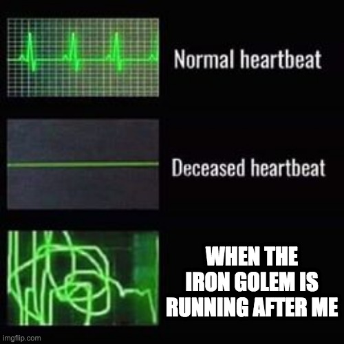 heartbeat rate | WHEN THE IRON GOLEM IS RUNNING AFTER ME | image tagged in heartbeat rate | made w/ Imgflip meme maker