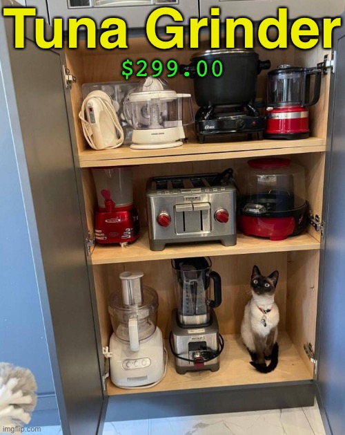 Kitchen Gadget | Tuna Grinder; $299.00 | image tagged in funny memes,funny cat memes | made w/ Imgflip meme maker