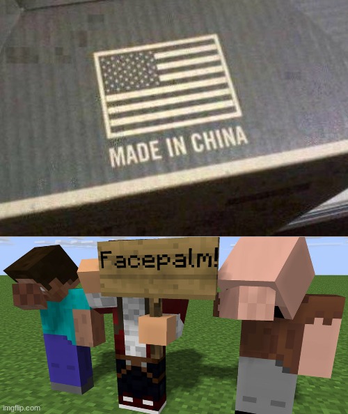 Boi you had one job... just one only... and you failed! | image tagged in facepalm,you had one job,minecraft | made w/ Imgflip meme maker