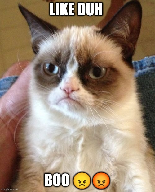 Grumpy Cat Meme | LIKE DUH; BOO 😠😡 | image tagged in memes,grumpy cat | made w/ Imgflip meme maker
