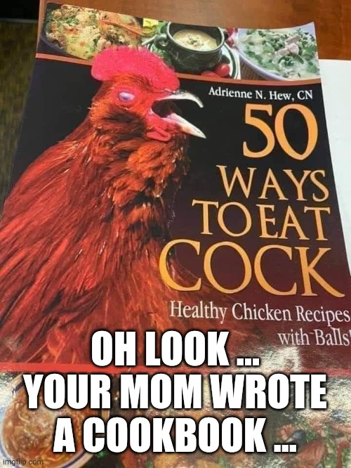 Your mom | OH LOOK ... YOUR MOM WROTE A COOKBOOK ... | image tagged in funny memes | made w/ Imgflip meme maker