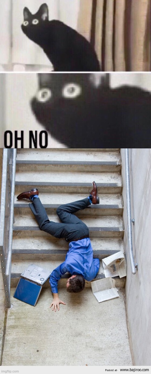 image tagged in oh no cat,guy falling down stairs | made w/ Imgflip meme maker