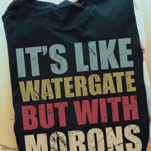 It's like watergate but with morons | image tagged in it's like watergate but with morons | made w/ Imgflip meme maker