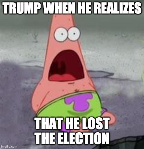 Suprised Patrick | TRUMP WHEN HE REALIZES; THAT HE LOST THE ELECTION | image tagged in suprised patrick | made w/ Imgflip meme maker