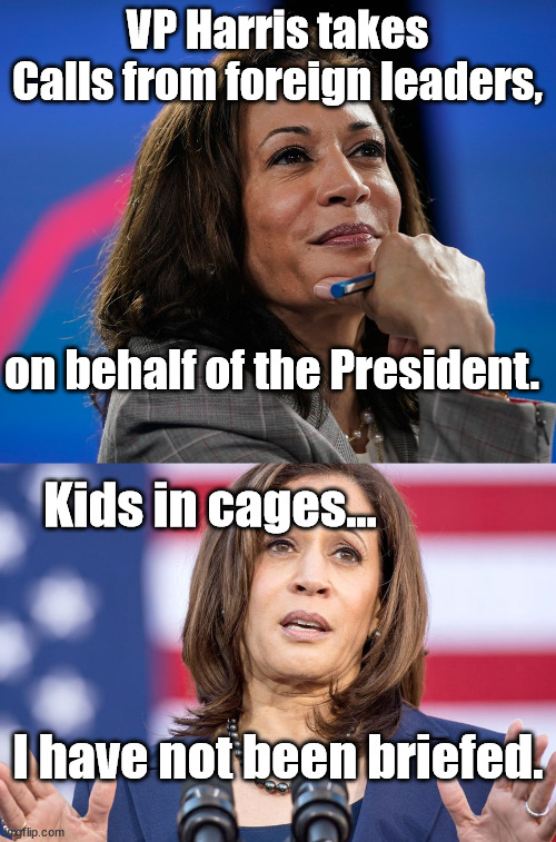 Implausible Deniability | VP Harris takes Calls from foreign leaders, on behalf of the President. Kids in cages... I have not been briefed. | image tagged in kamala harris,joe biden | made w/ Imgflip meme maker