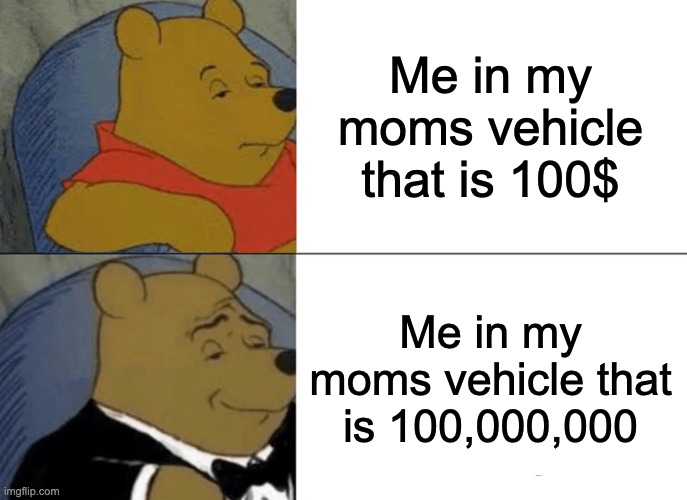 meme | Me in my moms vehicle that is 100$; Me in my moms vehicle that is 100,000,000 | image tagged in memes,tuxedo winnie the pooh | made w/ Imgflip meme maker
