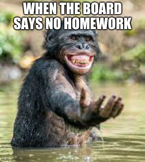 No homework | WHEN THE BOARD SAYS NO HOMEWORK | image tagged in school,homework,so true memes,funny | made w/ Imgflip meme maker
