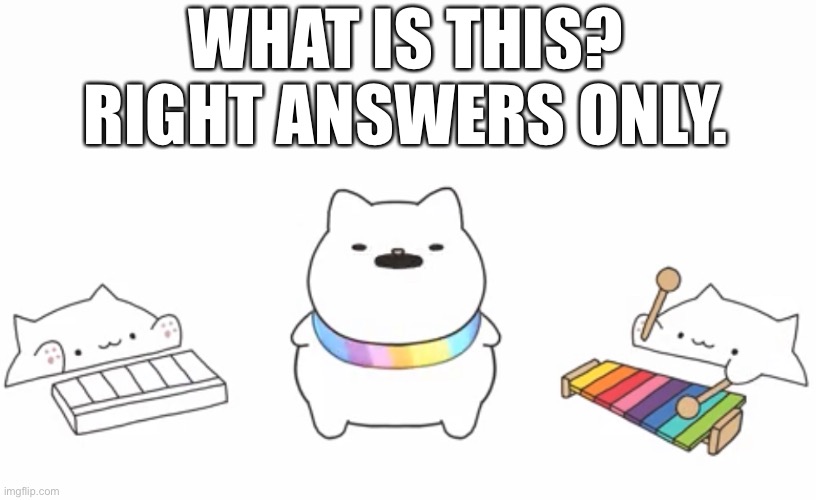 E | WHAT IS THIS? RIGHT ANSWERS ONLY. | image tagged in memes,funny,bruh | made w/ Imgflip meme maker