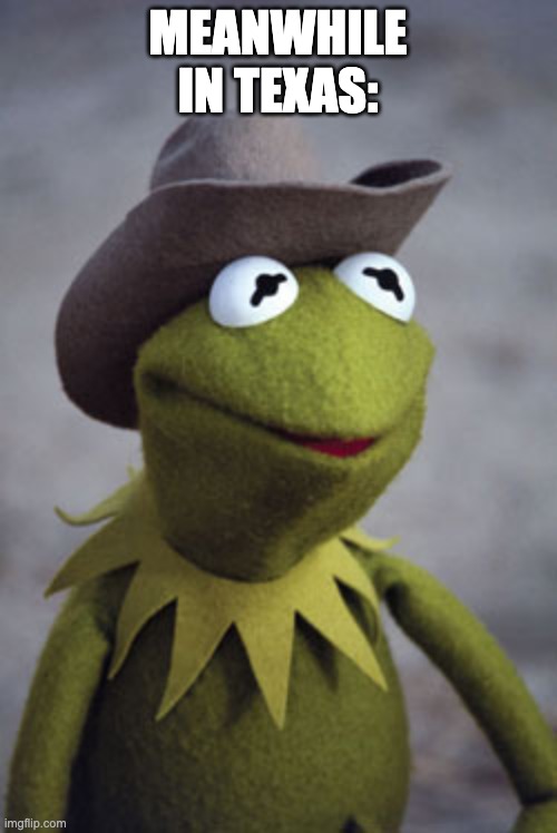 Texas Kermit | MEANWHILE IN TEXAS: | image tagged in texas kermit | made w/ Imgflip meme maker