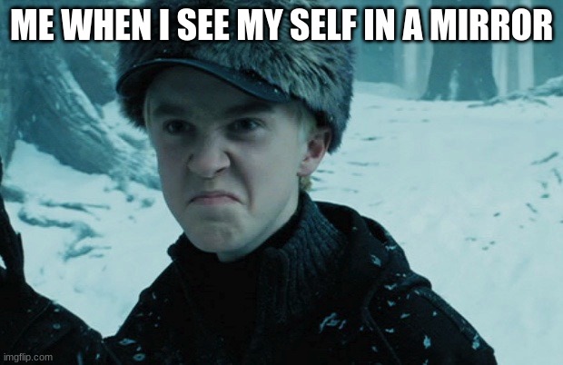 THE MIRROR | ME WHEN I SEE MY SELF IN A MIRROR | image tagged in draco malfoy | made w/ Imgflip meme maker