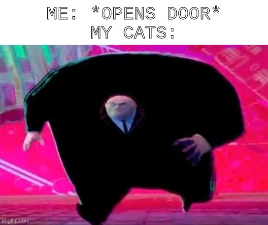 This is true | ME: *OPENS DOOR*
MY CATS: | image tagged in running kingpin | made w/ Imgflip meme maker