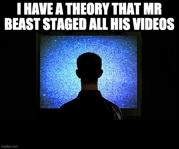 Brainwashed Sheeple | I HAVE A THEORY THAT MR BEAST STAGED ALL HIS VIDEOS | image tagged in brainwashed sheeple | made w/ Imgflip meme maker
