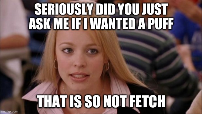 DON'T SMOKE!!!!!! | SERIOUSLY DID YOU JUST ASK ME IF I WANTED A PUFF; THAT IS SO NOT FETCH | image tagged in memes,its not going to happen | made w/ Imgflip meme maker