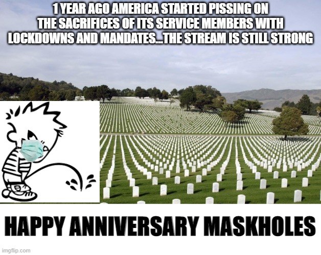 Happy Anniversary | 1 YEAR AGO AMERICA STARTED PISSING ON THE SACRIFICES OF ITS SERVICE MEMBERS WITH LOCKDOWNS AND MANDATES...THE STREAM IS STILL STRONG; HAPPY ANNIVERSARY MASKHOLES | image tagged in arlington national cemetery,vaccines,lockdown,mask,covid-19,coronavirus | made w/ Imgflip meme maker