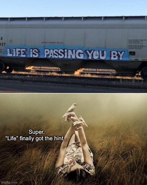 The Other L-Word I Can’t Seem to Deal With This Week | Super.
“Life” finally got the hint... | image tagged in funny memes,life | made w/ Imgflip meme maker