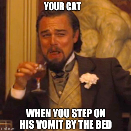 Dammit Mr. Mittens | YOUR CAT; WHEN YOU STEP ON HIS VOMIT BY THE BED | image tagged in memes,laughing leo | made w/ Imgflip meme maker