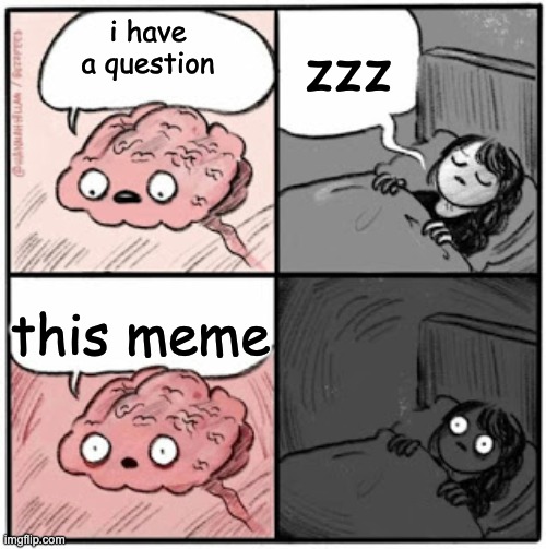 Brain Before Sleep | i have a question this meme zzz | image tagged in brain before sleep | made w/ Imgflip meme maker