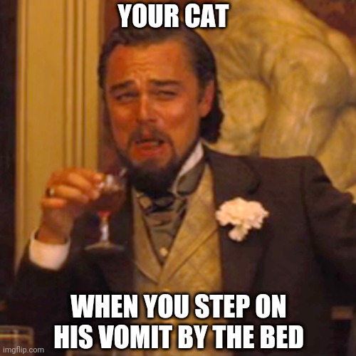 Laughing Leo Meme | YOUR CAT; WHEN YOU STEP ON HIS VOMIT BY THE BED | image tagged in memes,laughing leo | made w/ Imgflip meme maker